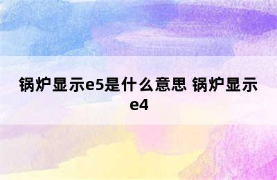 锅炉显示e5是什么意思 锅炉显示e4